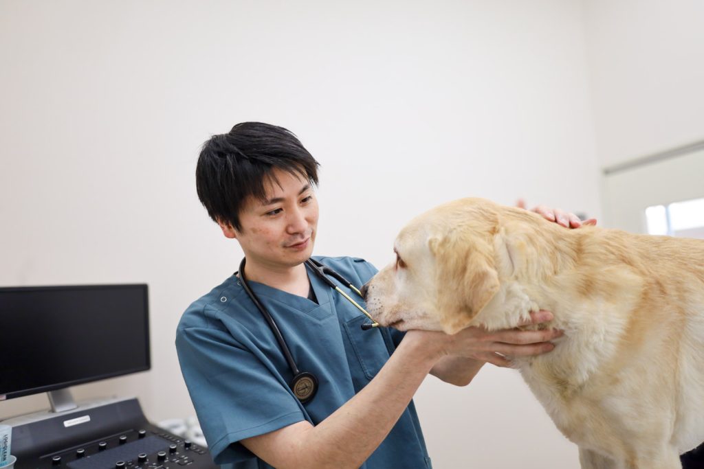 ペットと家族の幸せな生活のために