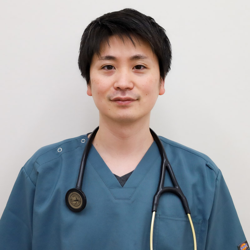 森のどうぶつクリニック｜江戸川区西葛西の動物病院（犬・猫・ウサギ